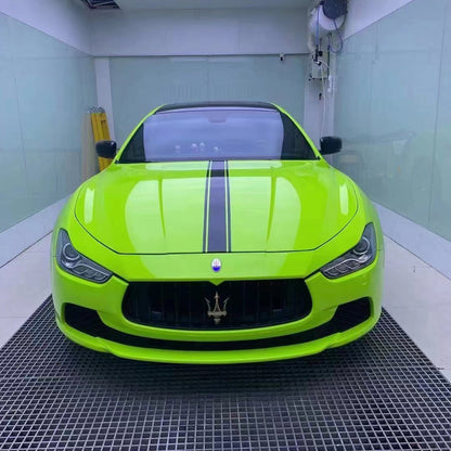 Pet Glossy Apple Green