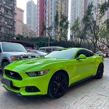 Pet Glossy Apple Green